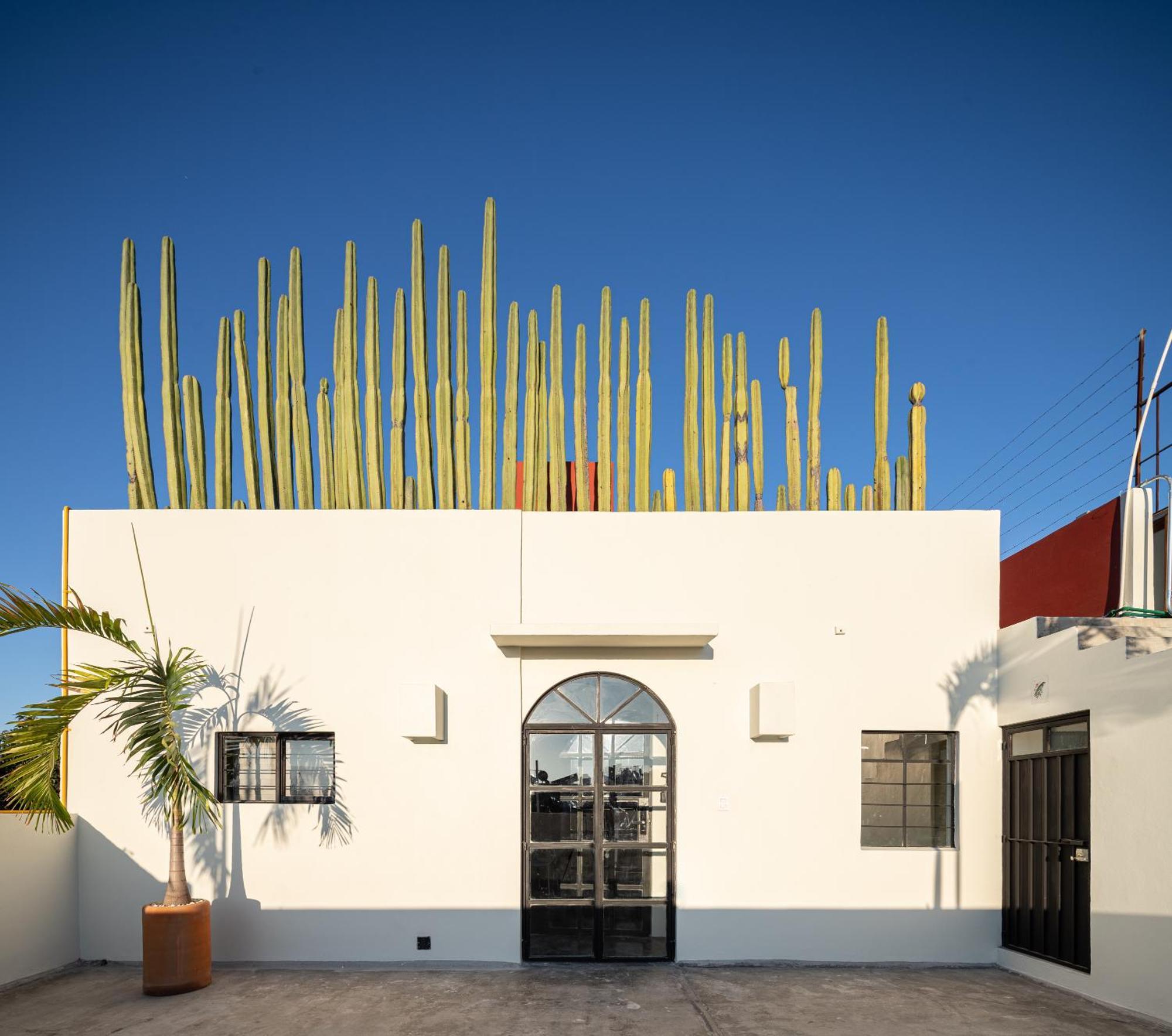 Casa Lumos - Minimalist Comfort Suites In Centro Historico Oaxaca Екстериор снимка