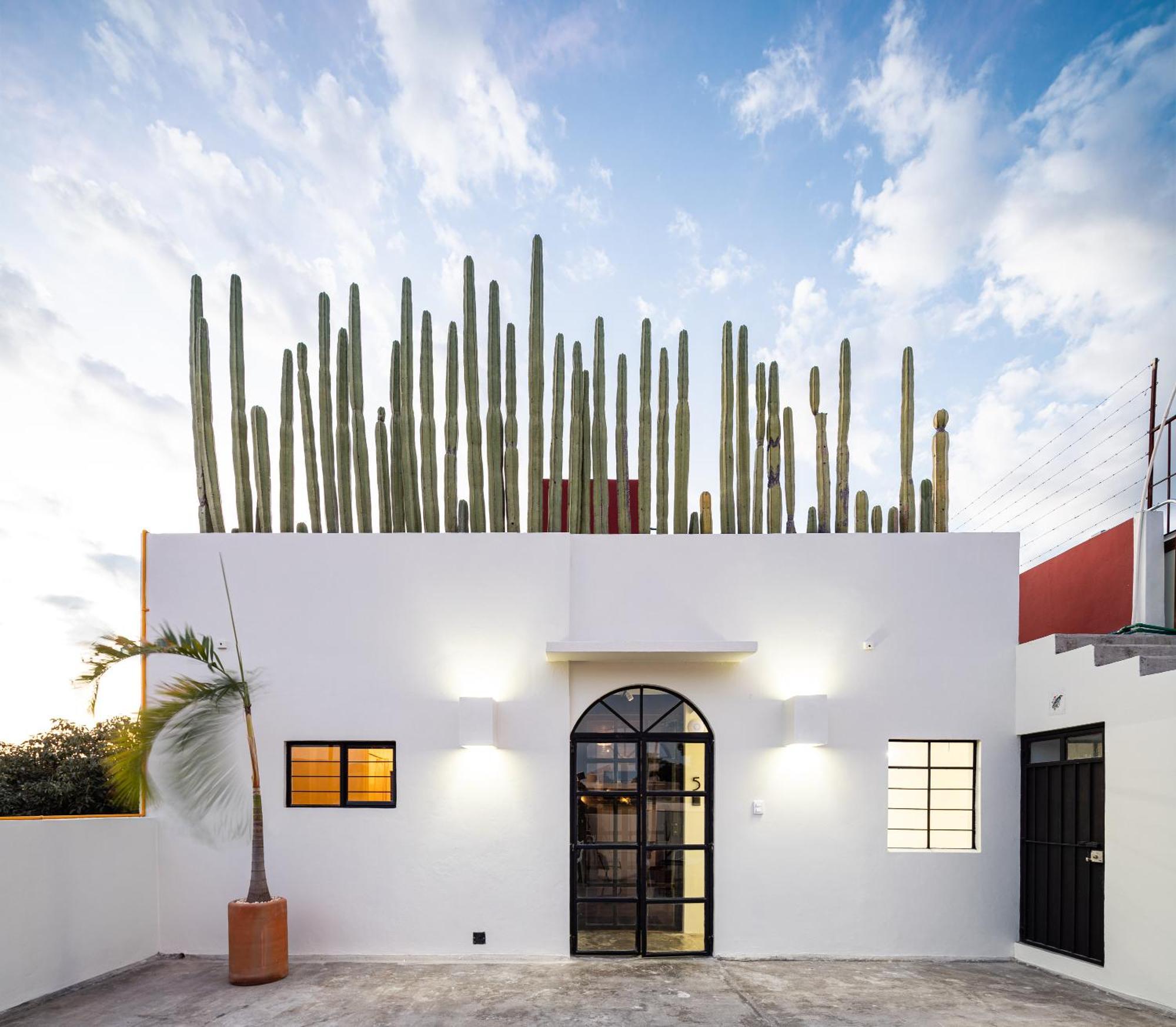 Casa Lumos - Minimalist Comfort Suites In Centro Historico Oaxaca Екстериор снимка