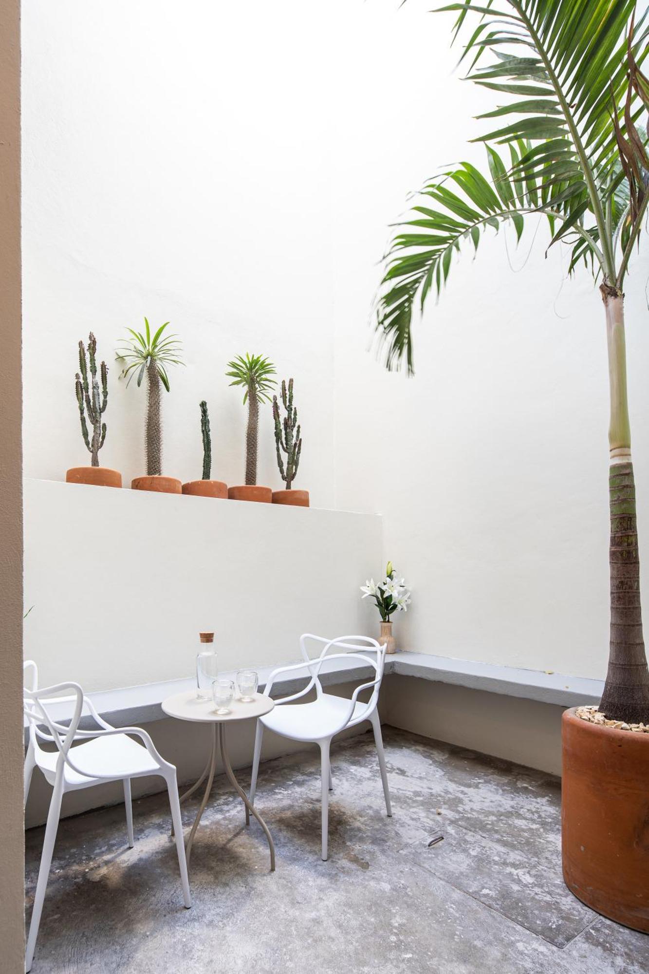 Casa Lumos - Minimalist Comfort Suites In Centro Historico Oaxaca Екстериор снимка