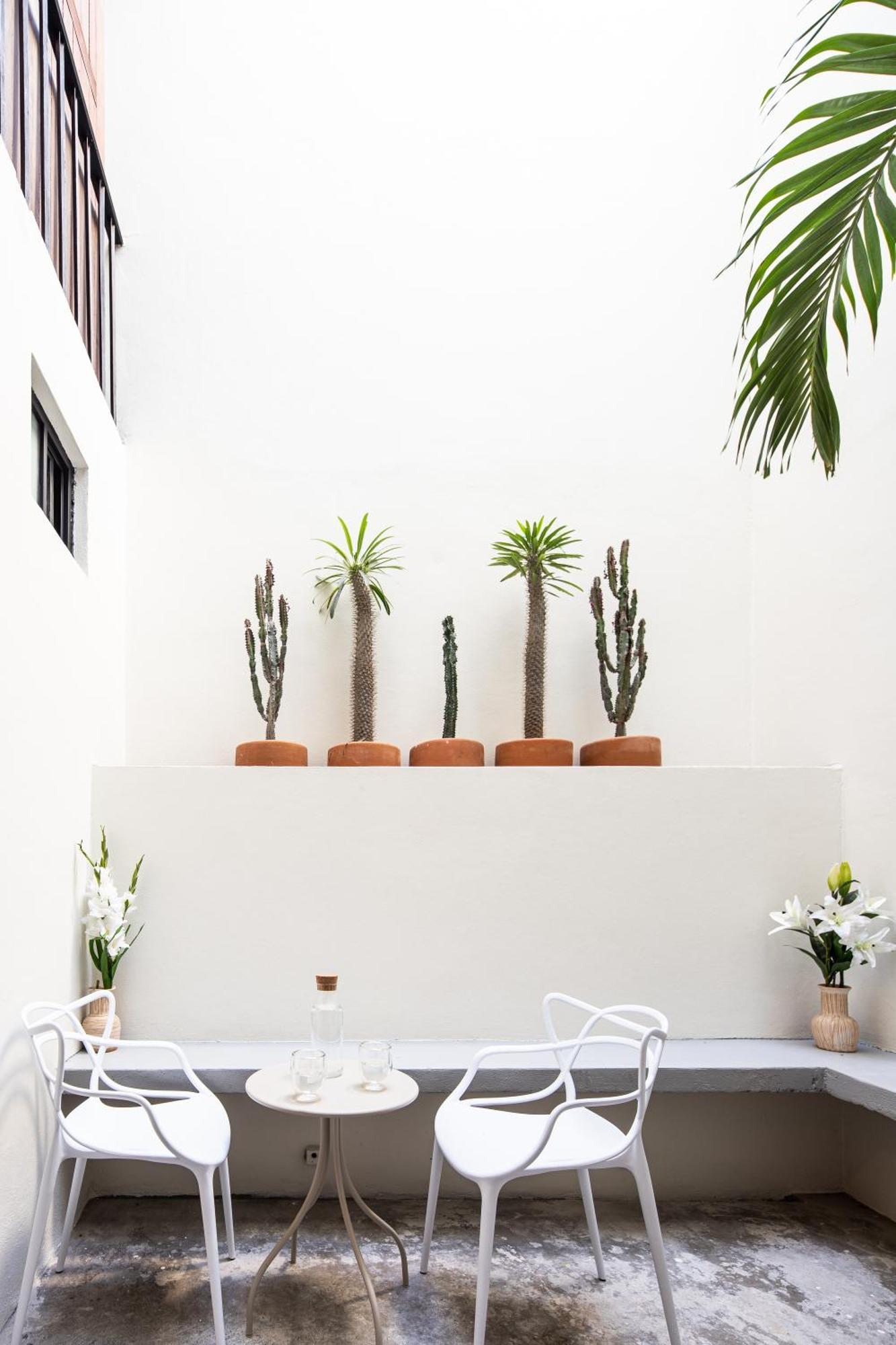 Casa Lumos - Minimalist Comfort Suites In Centro Historico Oaxaca Екстериор снимка